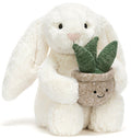 Lapin crème avec sa plante JELLYCAT