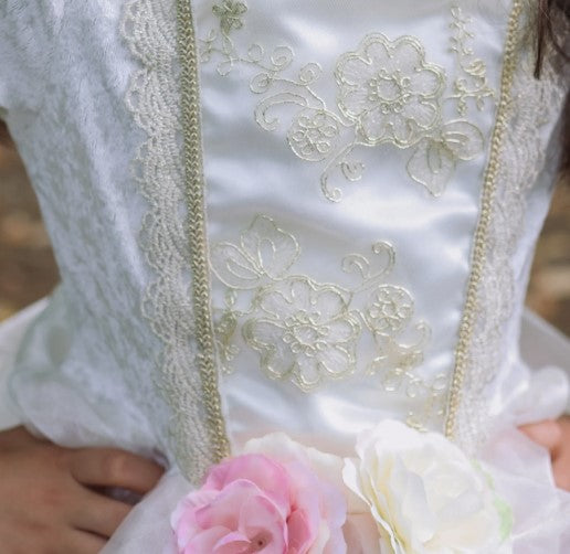 Déguisement robe de princesse Rose pâle et or GREAT PRETENDERS